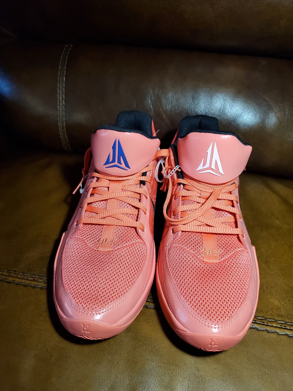 Men Nike Ja 2 EP 'Heart Eyes Size 14 NWT
